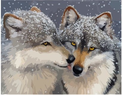 ArtVibe™ DIY Painting By Numbers -Two Wolves (16"x20" / 40x50cm) - ArtVibe Paint by Numbers