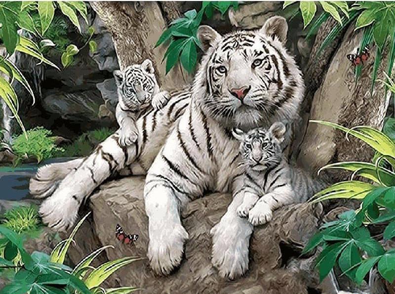 ArtVibe™ DIY Painting By Numbers - White Tigers (16"x20" / 40x50cm) - ArtVibe Paint by Numbers