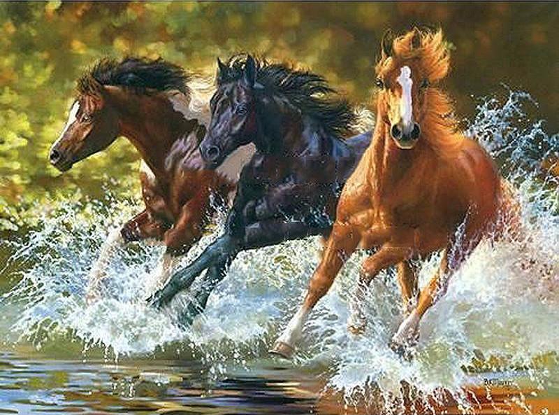 ArtVibe™ DIY Painting By Numbers - Wild Stallions in the Creek (16"x20" / 40x50cm) - ArtVibe Paint by Numbers